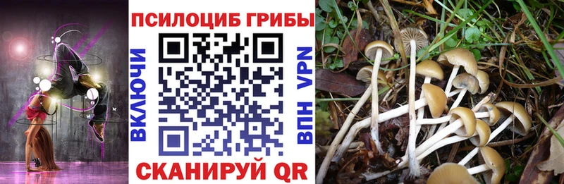 мориарти как зайти  Козловка  Галлюциногенные грибы ЛСД  цены наркотик 